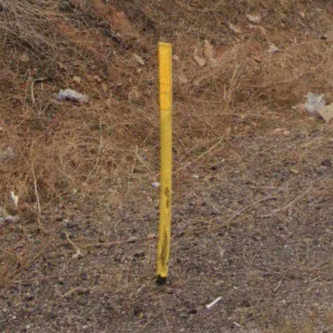Arizona y bollard