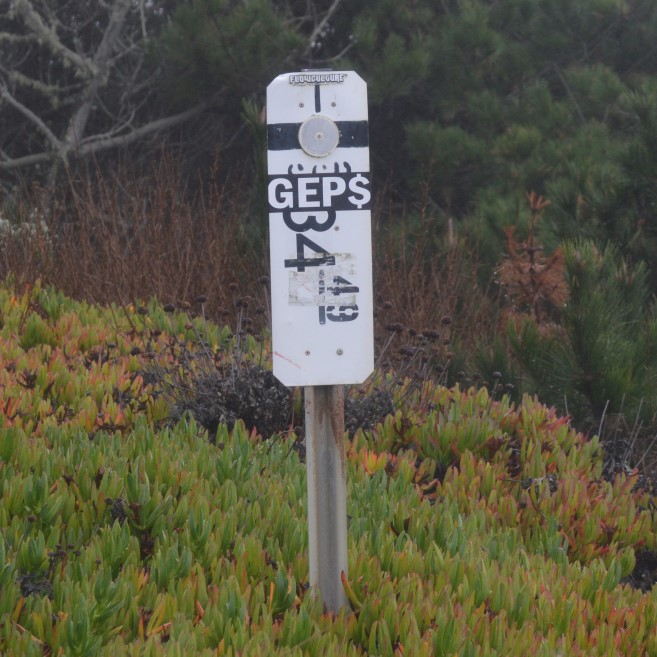 California w bollard