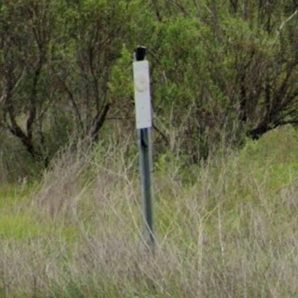 California w bollard