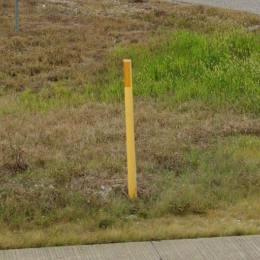 Indiana y bollard