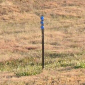 Nebraska b bollard