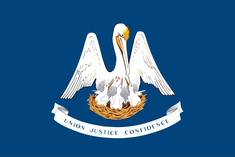 Louisiana flag