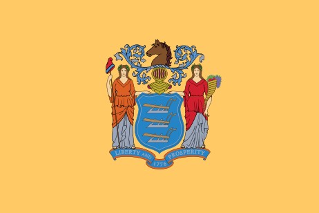 New Jersey flag