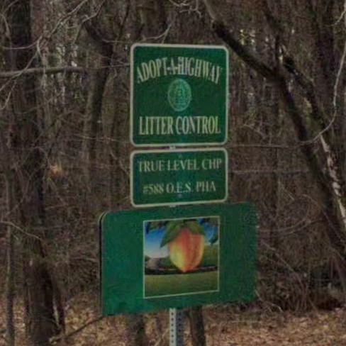 Georgia adoption sign