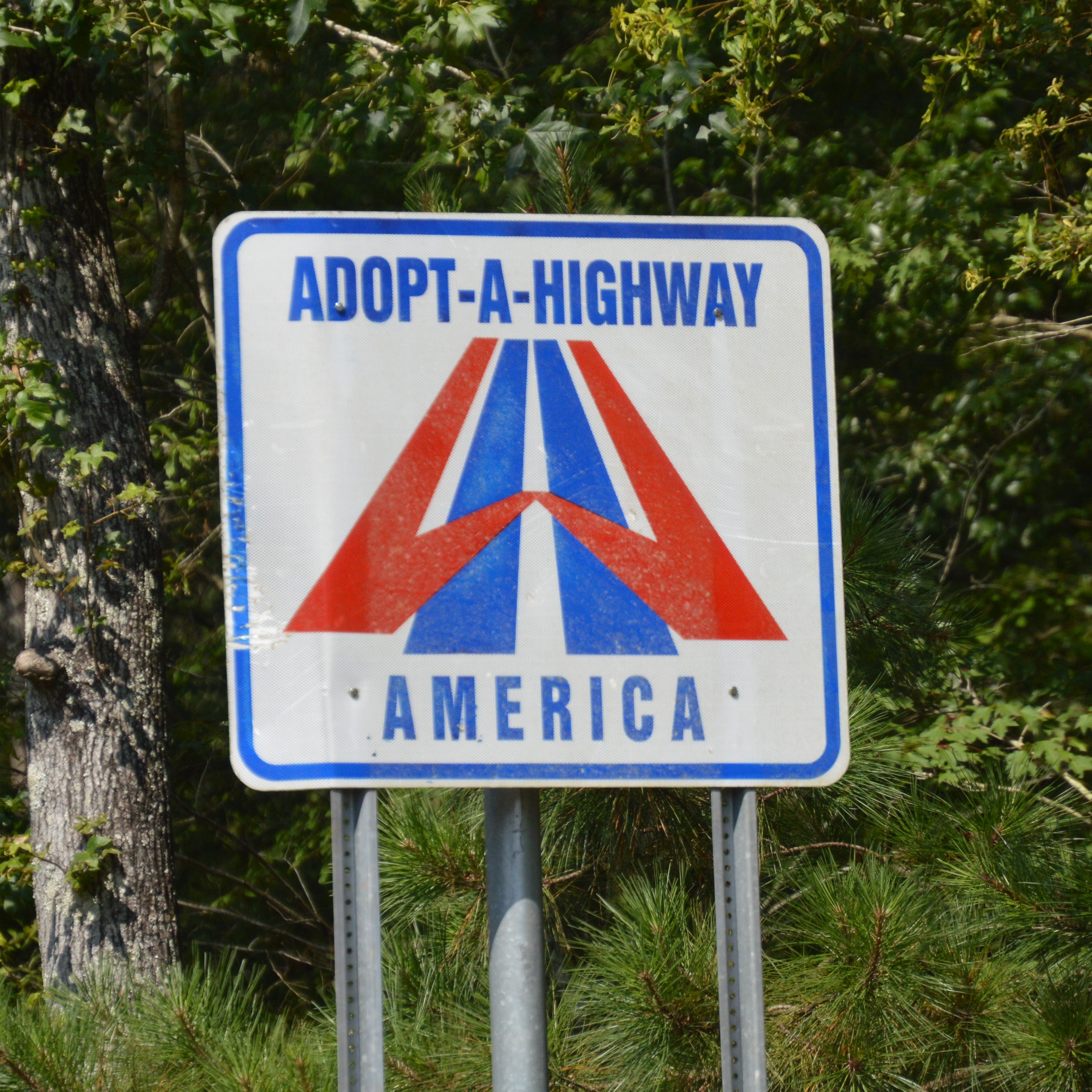 Mississippi adoption sign