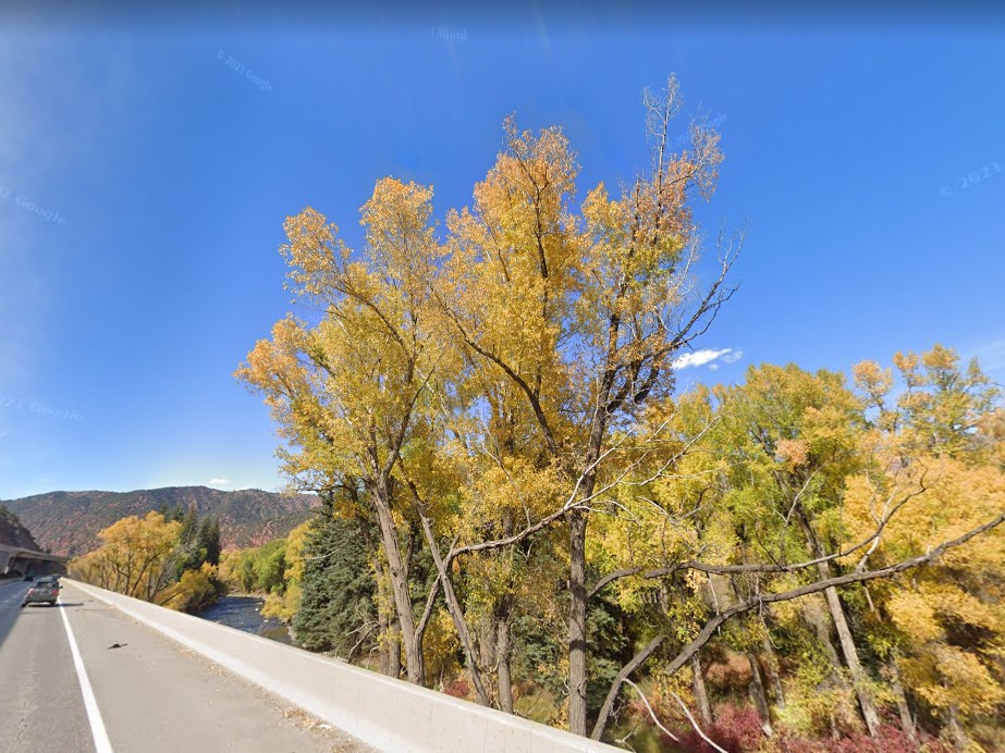 Cottonwood