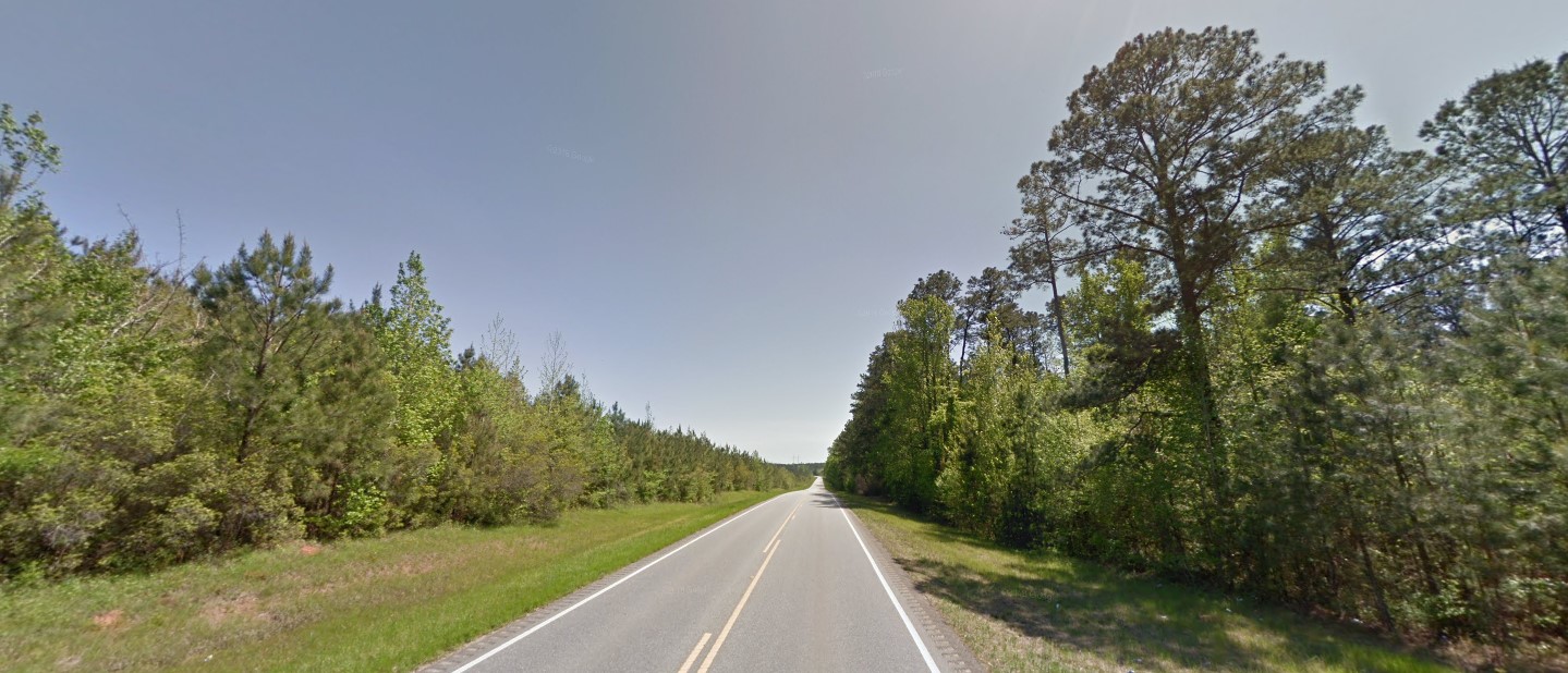 Alabama forest south