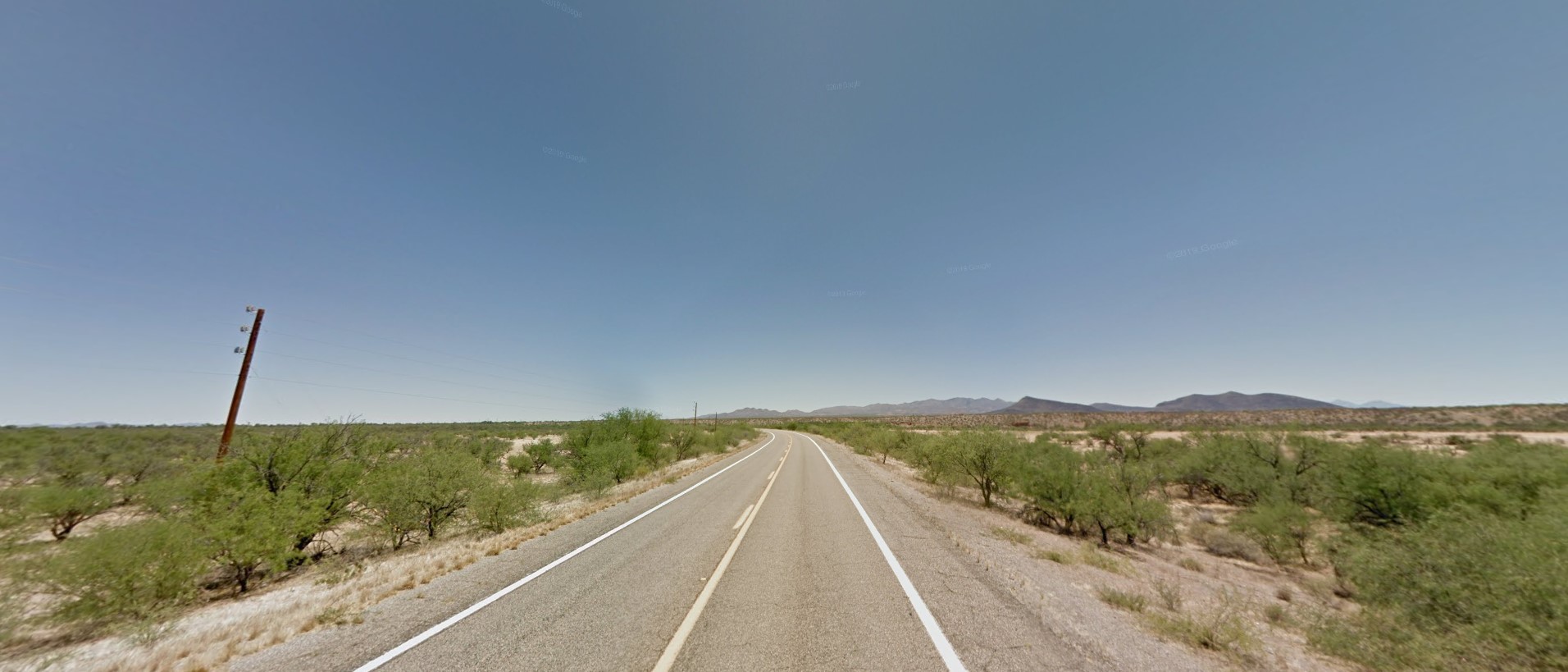 Arizona desert scrub