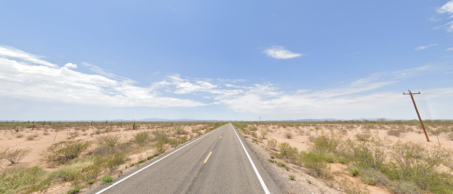 Arizona desert scrub