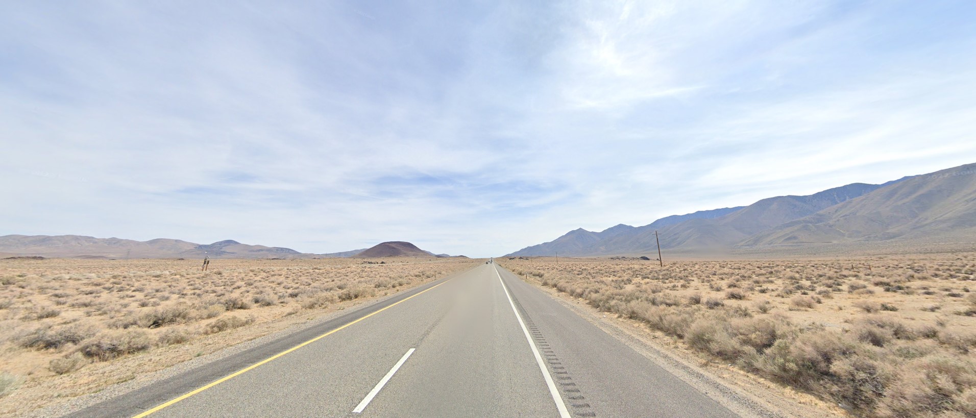 California desert scrub