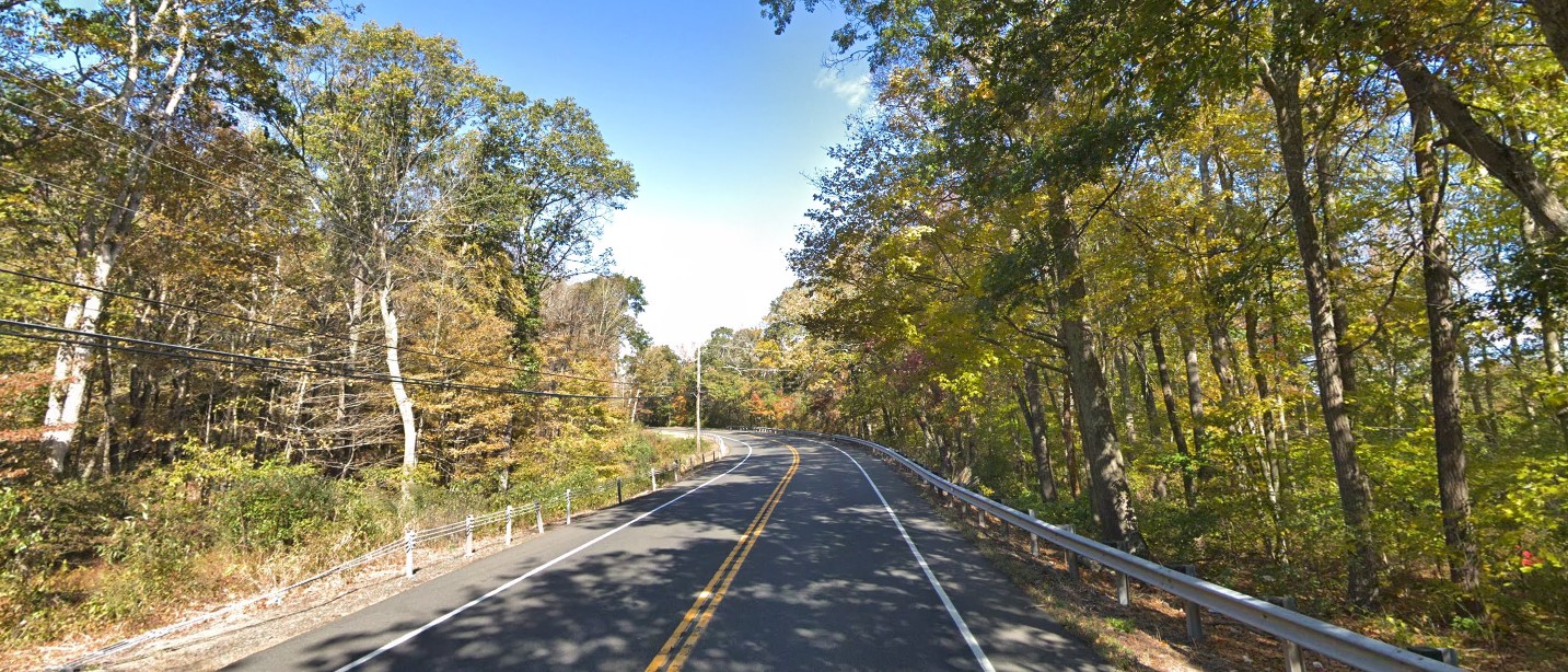 Connecticut forest east