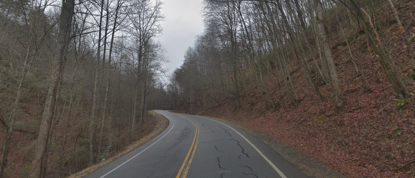 Georgia forest south
