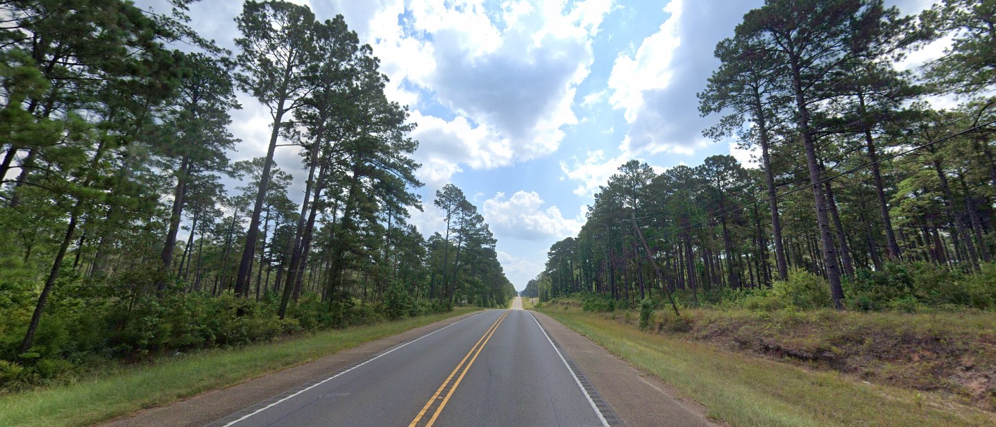 Louisiana forest south