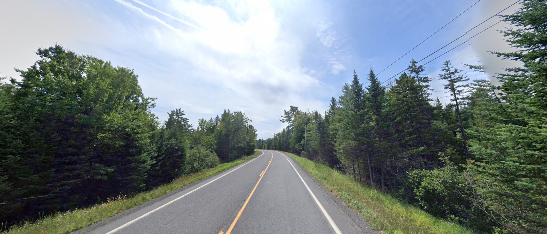Maine forest north