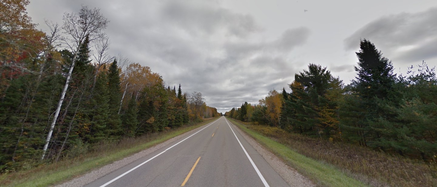 Michigan forest north
