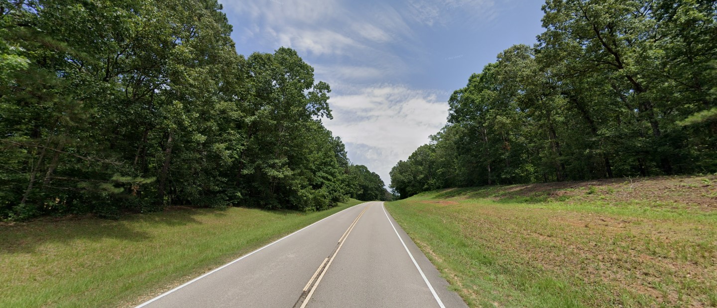Mississippi forest south