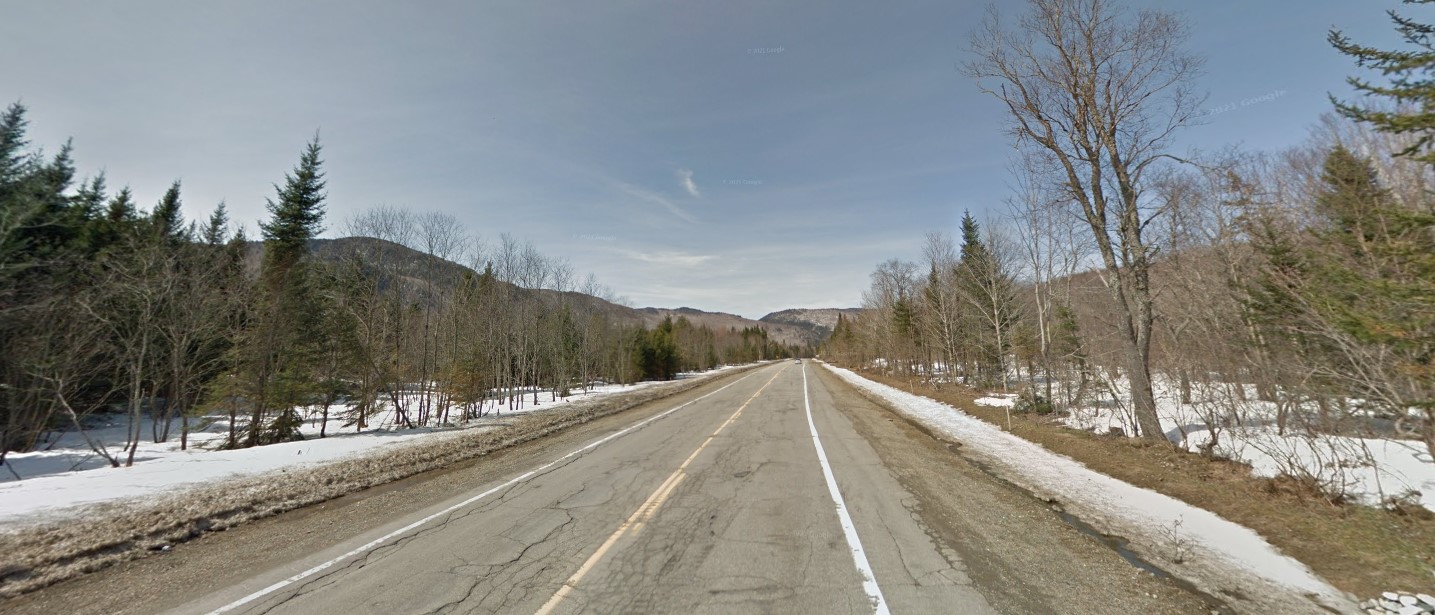 New Hampshire forest north