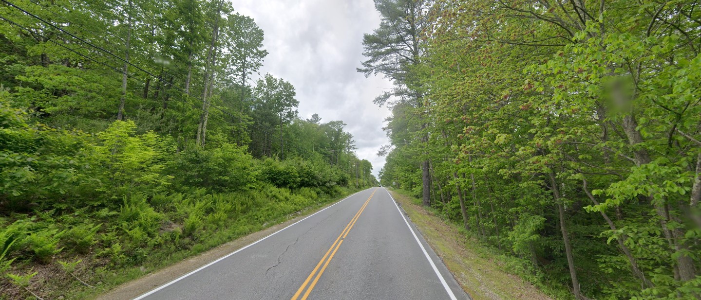 New Hampshire forest north