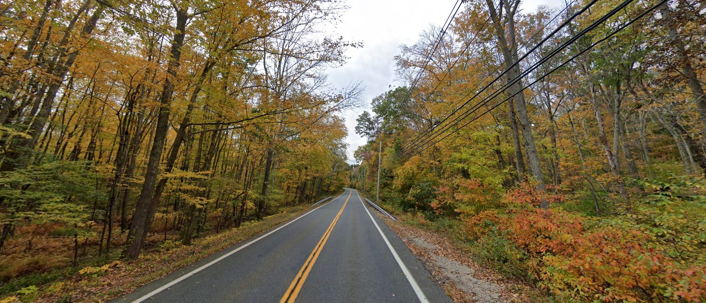 Rhode Island forest east