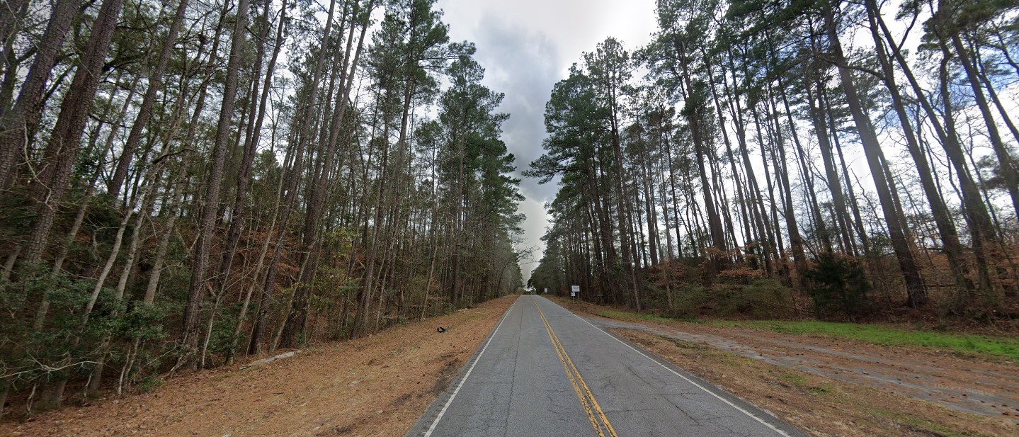 South Carolina forest east