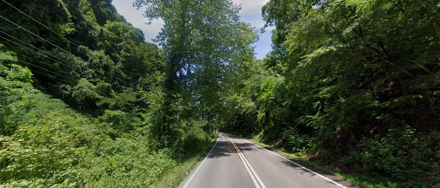 Tennessee forest east