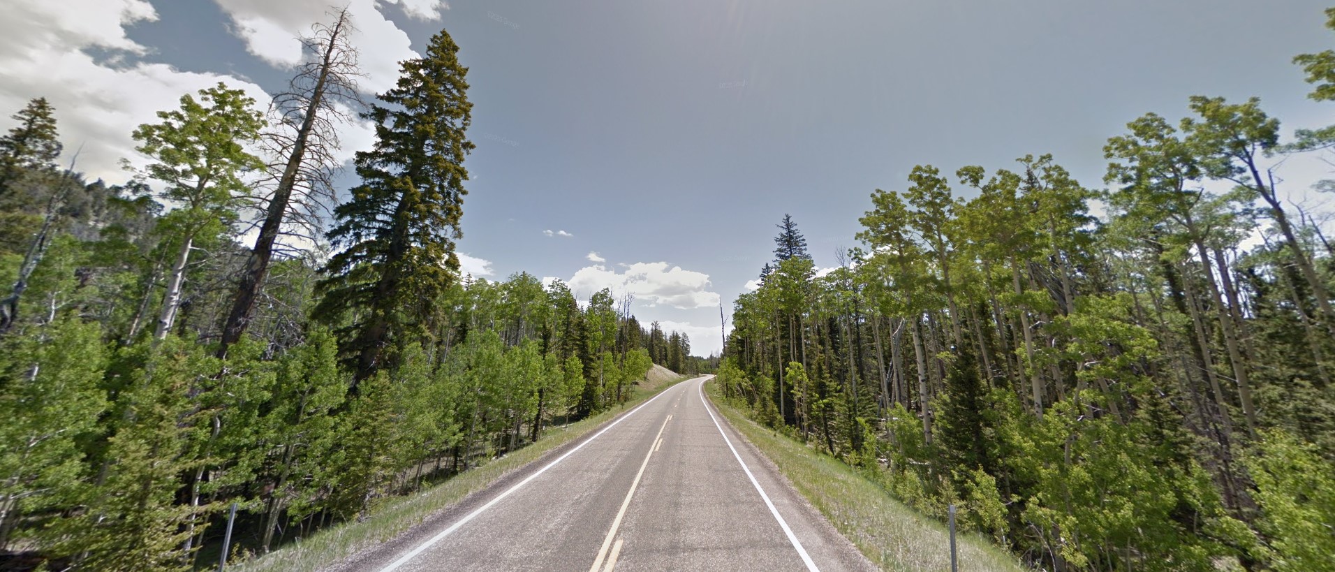 Utah forest high