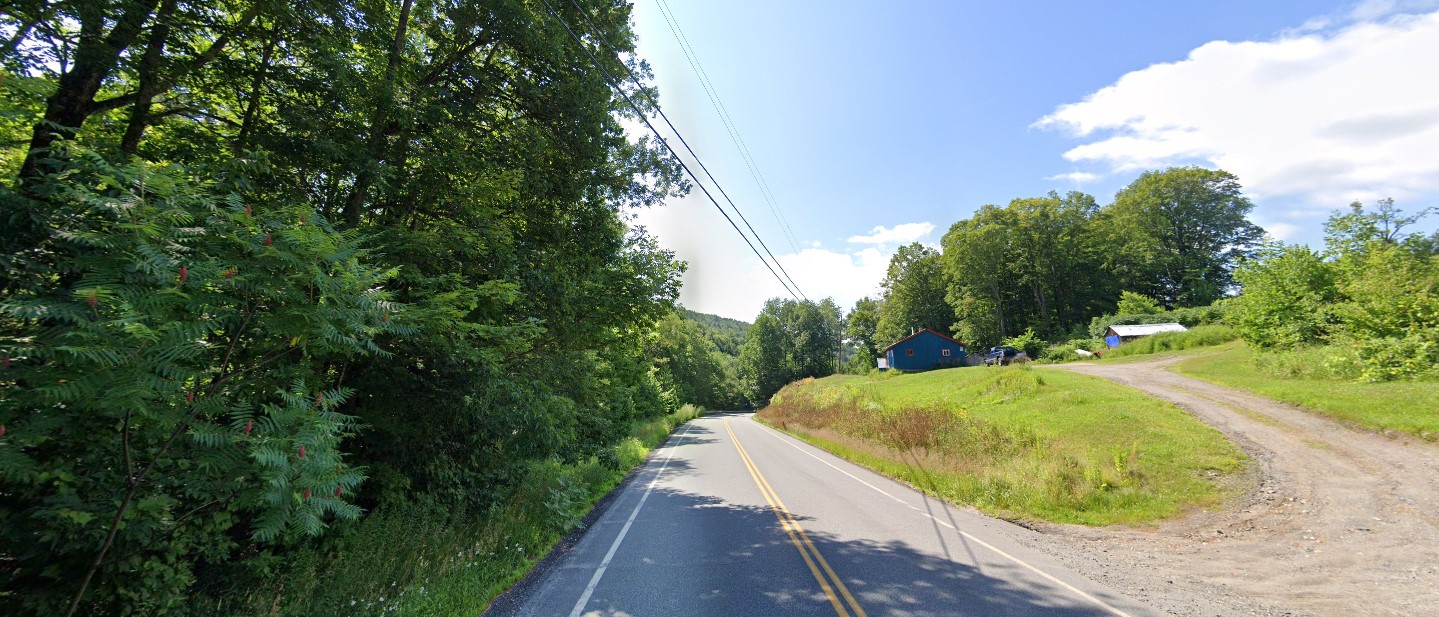 Vermont forest north