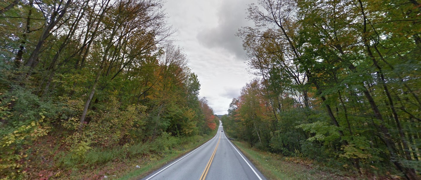 Vermont forest north high