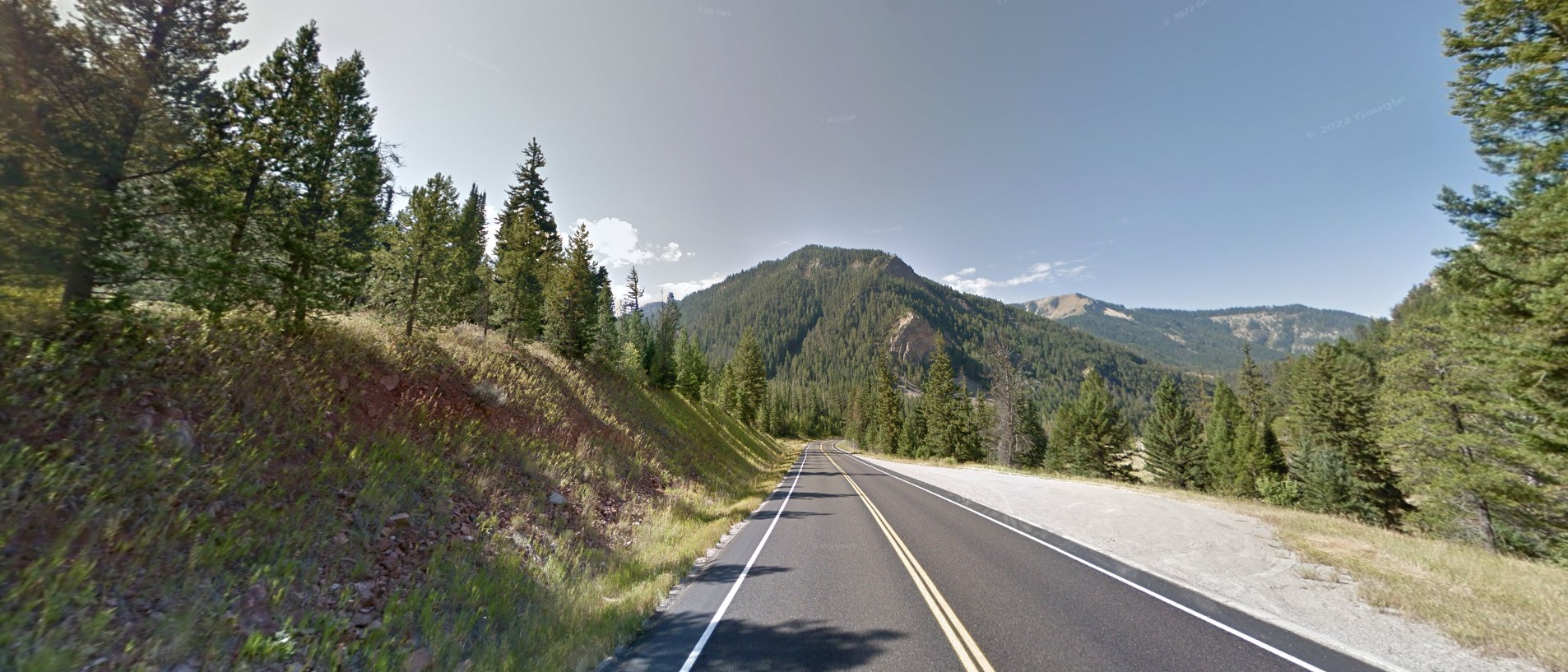 Wyoming forest high