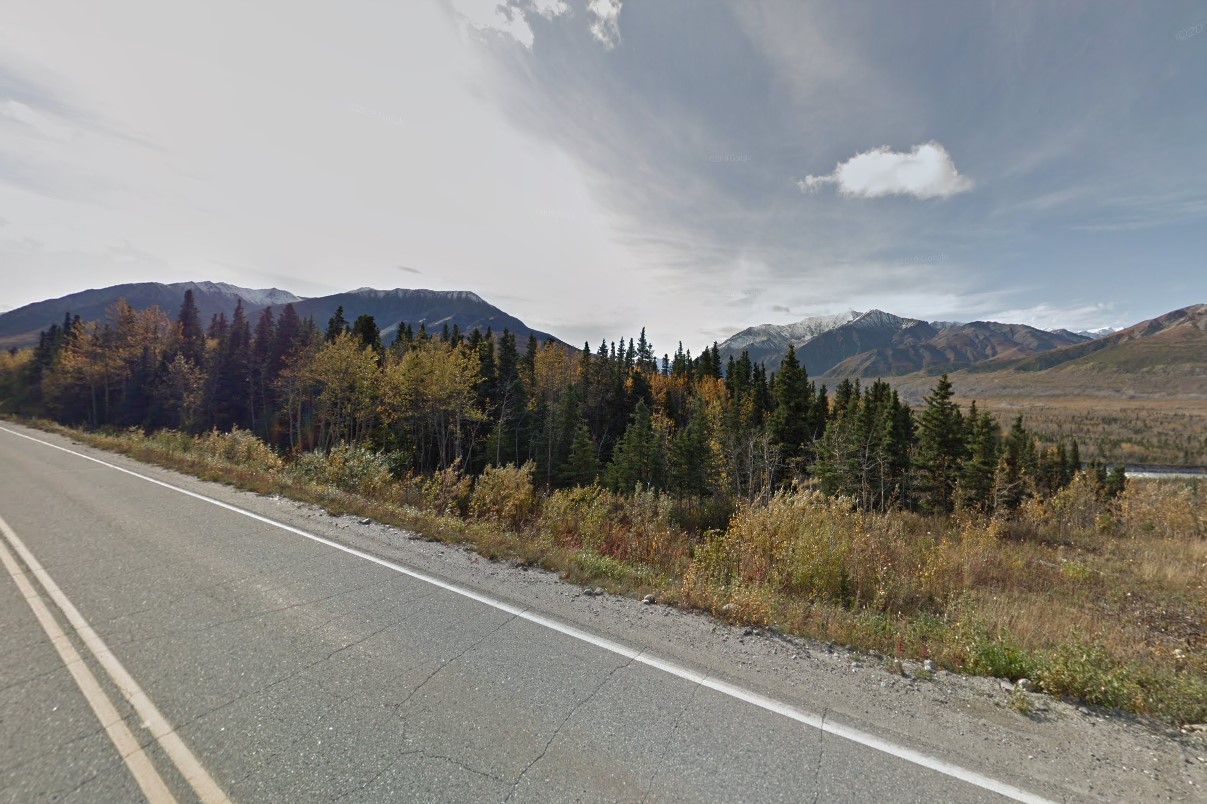 Alaskan birches and glacier mountains