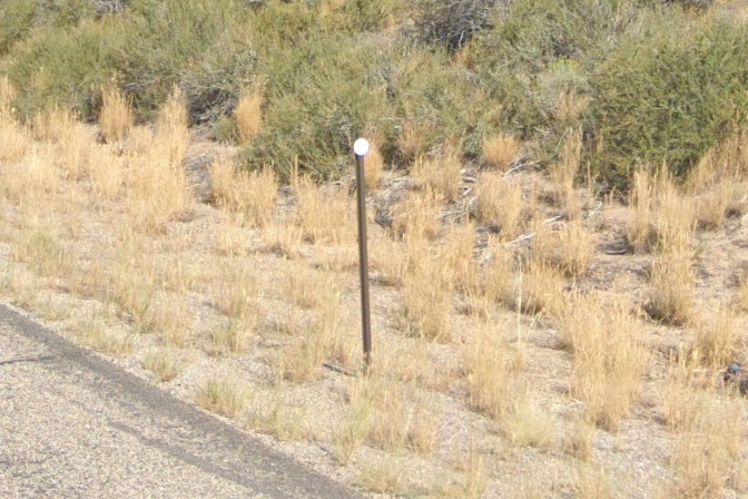 Brown/white bollard