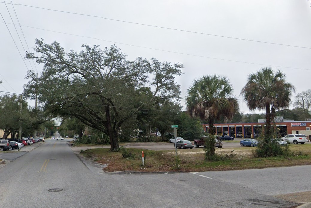 Cabbage palms and oaks