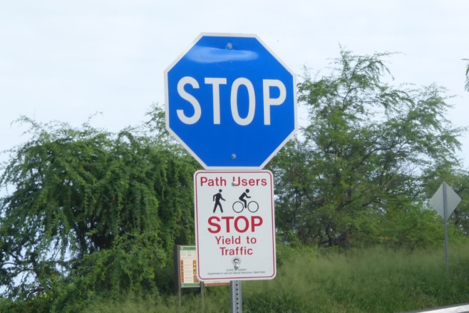 Blue Stop Sign