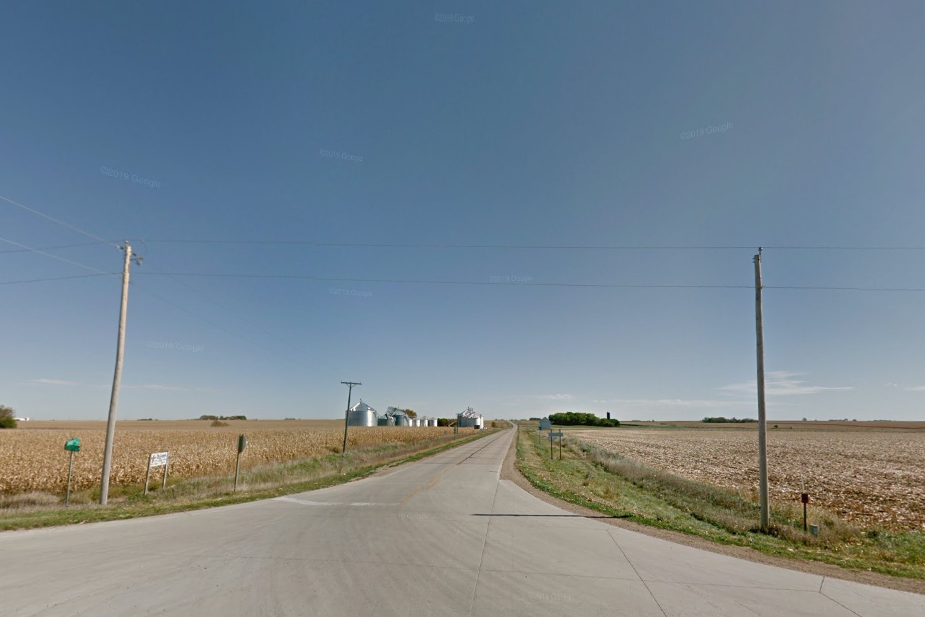 Harvested and unharvested corn