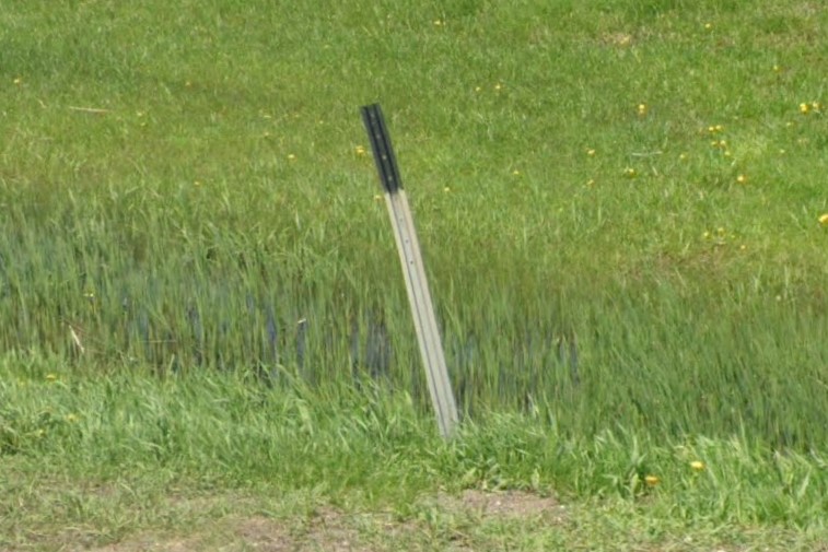 Black tipped drainage bollard