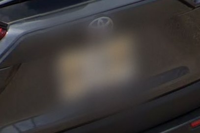 Mississippi 2019 license plate