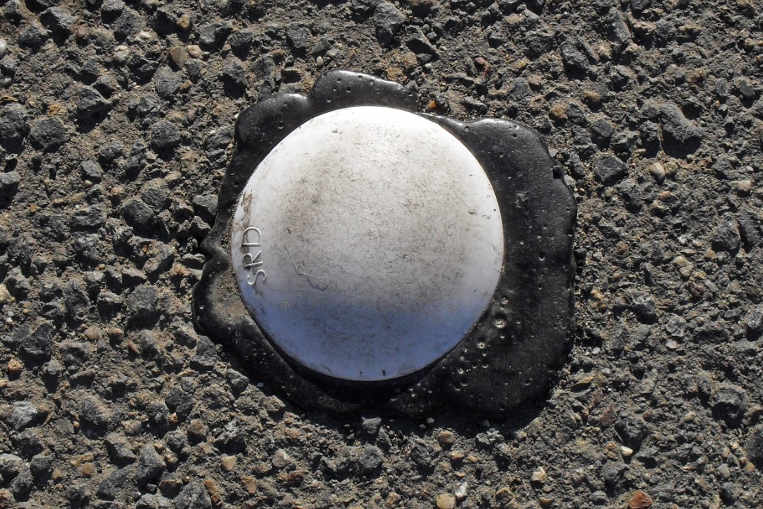 Botts' dot close-up