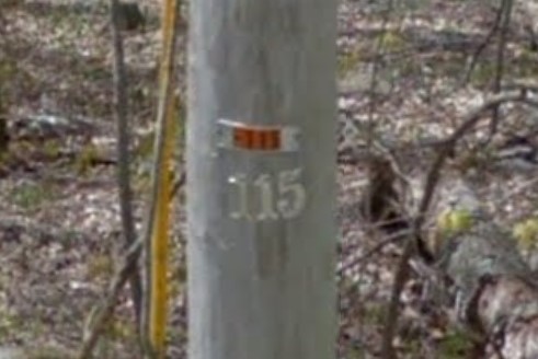 Silver number and orange strip