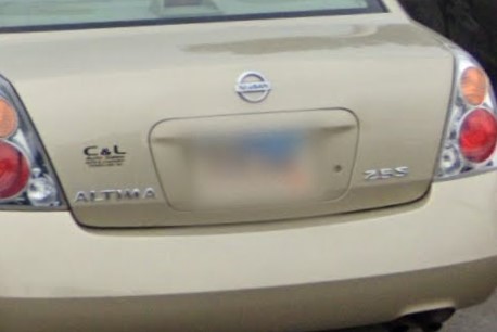 Standard license plate