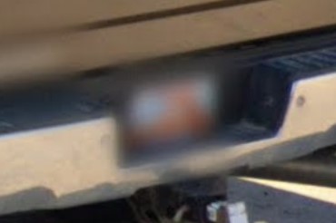 UT license plate