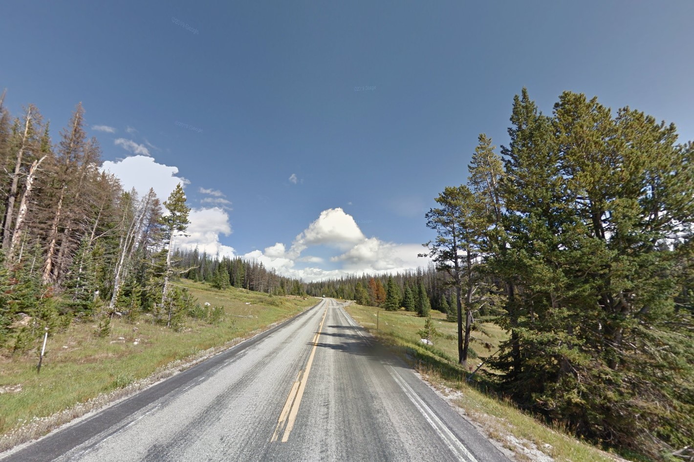 Medicine Bow-Routt National Forest