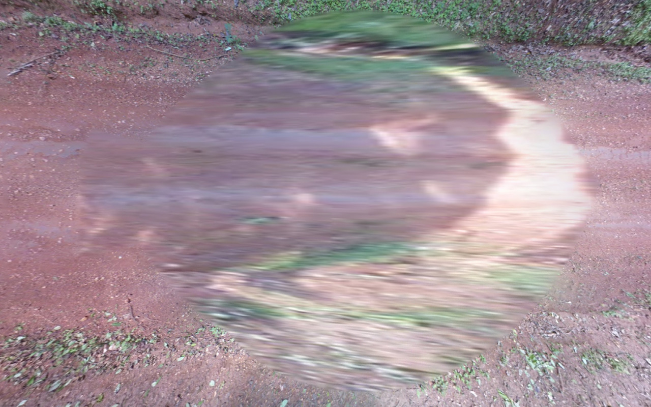 Car_19