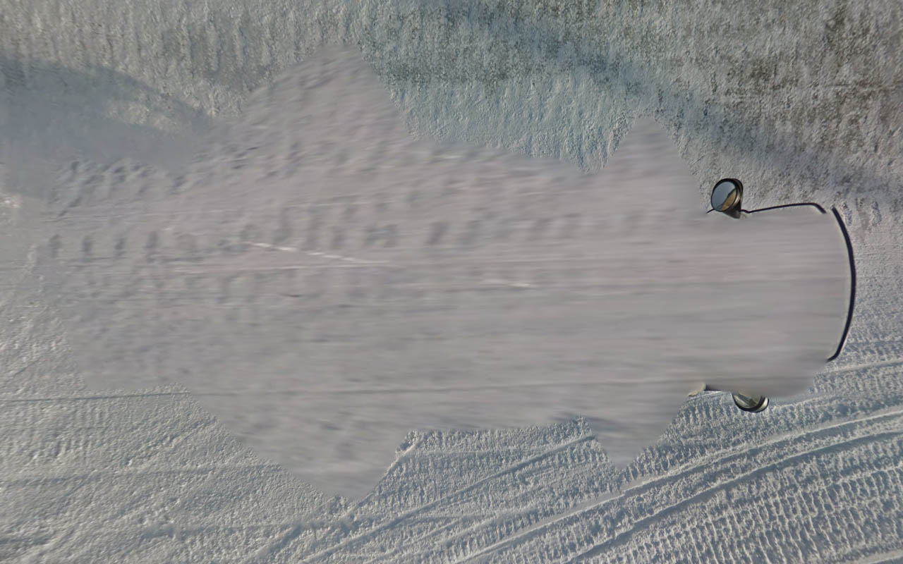 Car_317