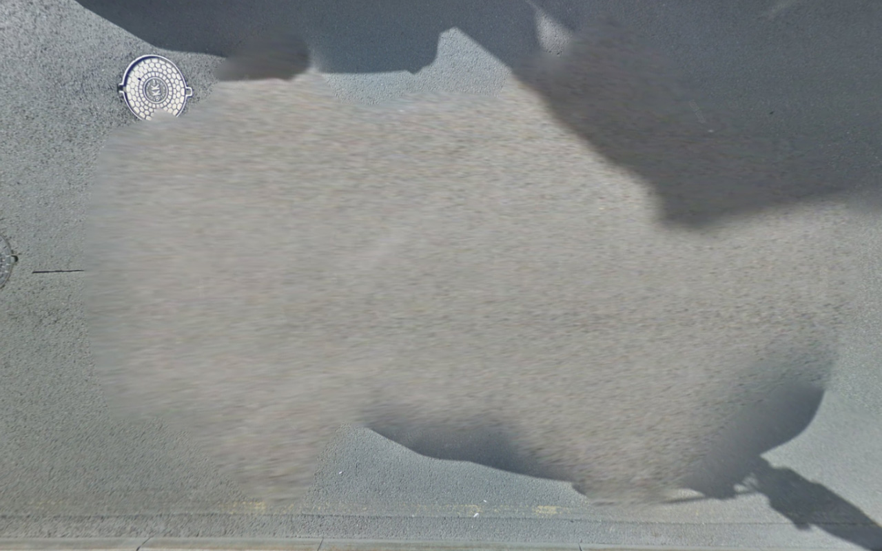 Car_61