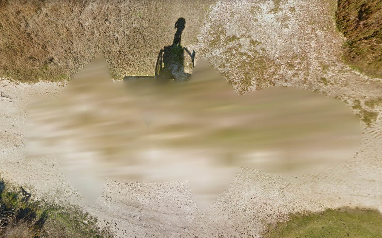 Car_655