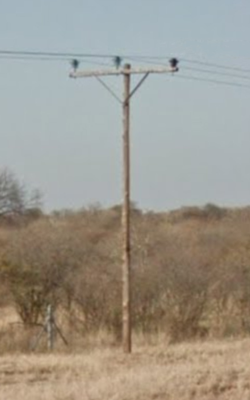 Pole_1