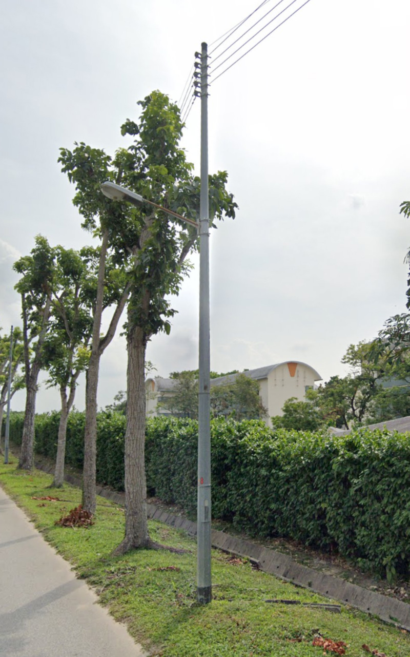 Pole_11