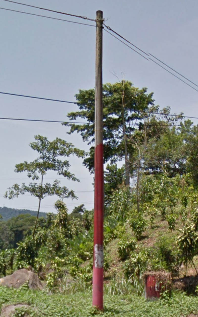 Pole_124