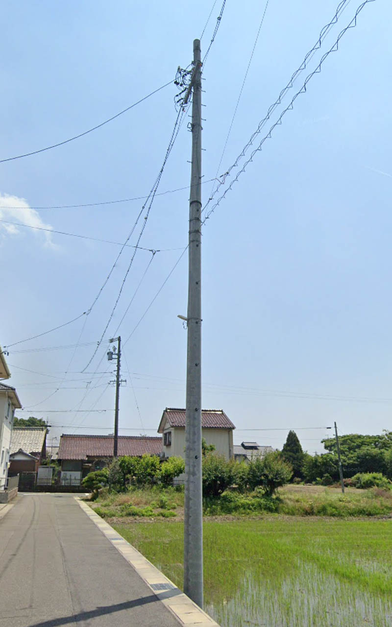 Pole_219