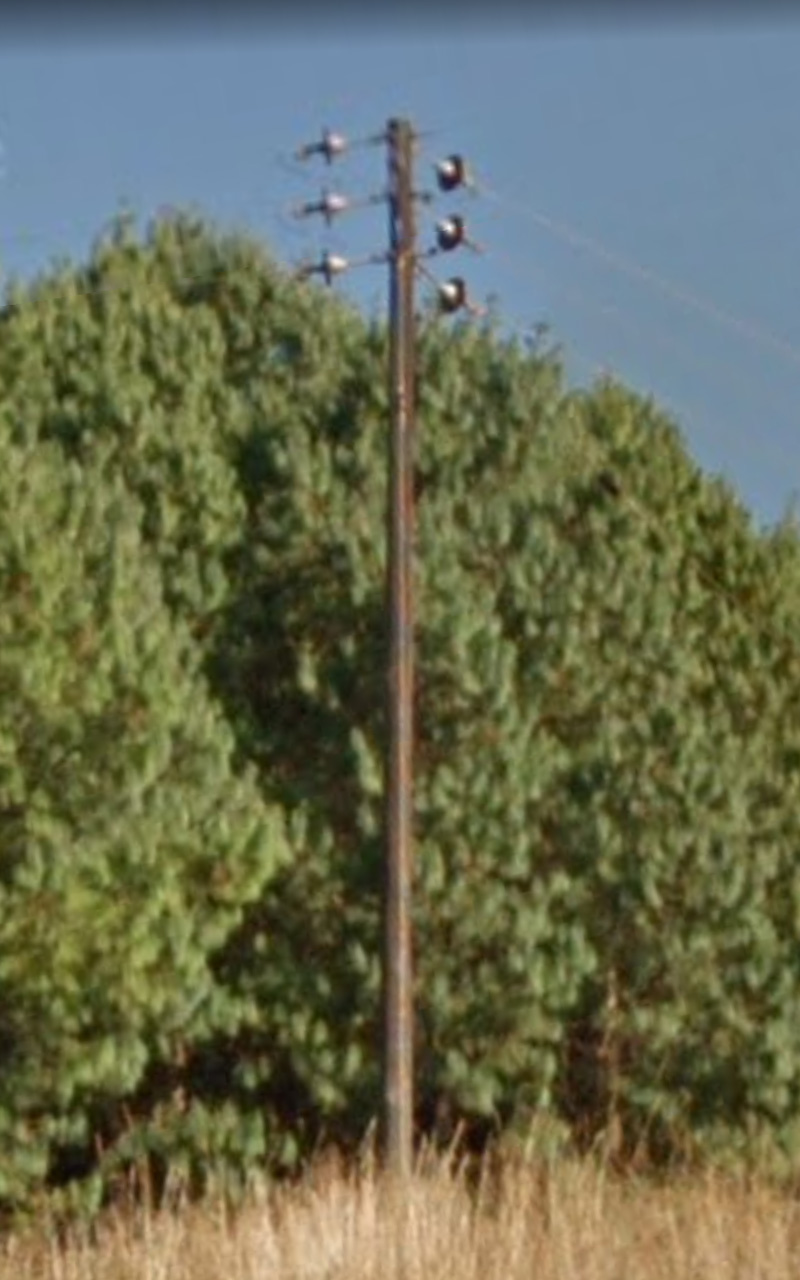 Pole_65